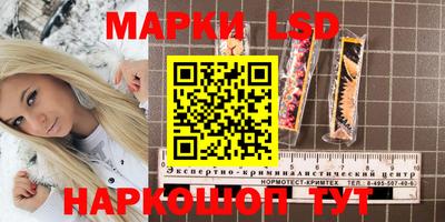ПСИЛОЦИБИНОВЫЕ ГРИБЫ Пугачёв